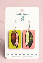 Load image into Gallery viewer, Finger Lime/ Christmas Bush/ Sunshine Wattle To The Trees Earrings