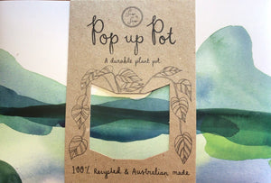 Pop up pot by sow and sow