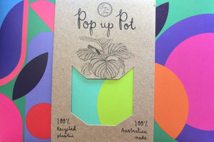 Pop up pot by sow and sow